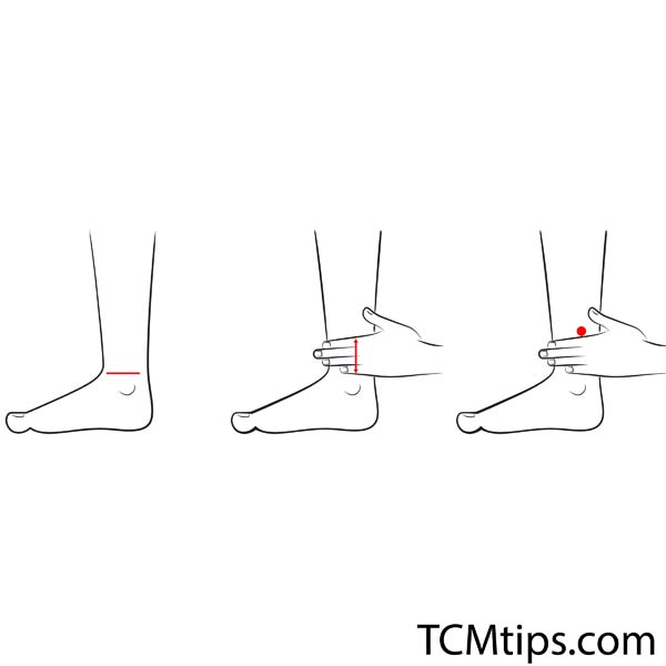 Acupoint: SP-6 (Other Names: Spleen-6/San Yin Jiao/Three Yin Intersection)