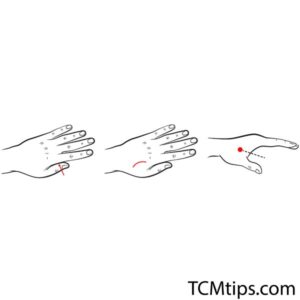 Acupoint: LI-4 (Other Names: Large Intestine-4/He Gu/Joining Valley)