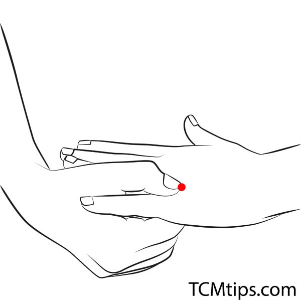 Acupoint: TE-3 (Other Names: Triple Energizer-3/Zhong Zhu/Central Islet)