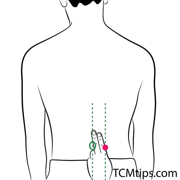 Acupoint: Bl-23 Or Ub-23(Other Names: Urinary Bladder-23/Shen Shu/Kidney Transporter)