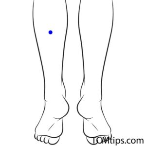 Acupoint: Bl-57 (Other Names: Urinary Bladder-57/Cheng Shan/Support the Mountain)