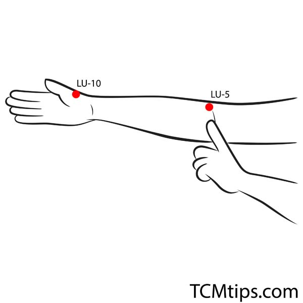 Acupoint: LU-5 (Other Names: Lung-5/Chi Ze/Cubit Marsh)