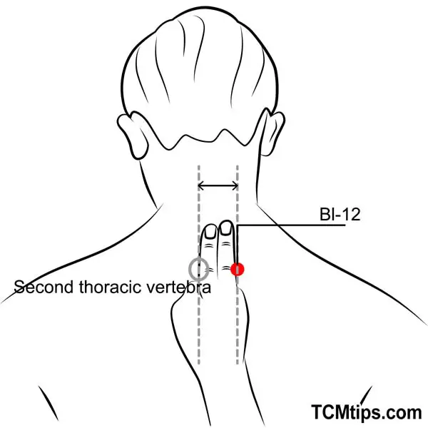 Acupoint: Bl-12 (Other Names: Urinary Bladder-12/Feng Men/Wind Gate)