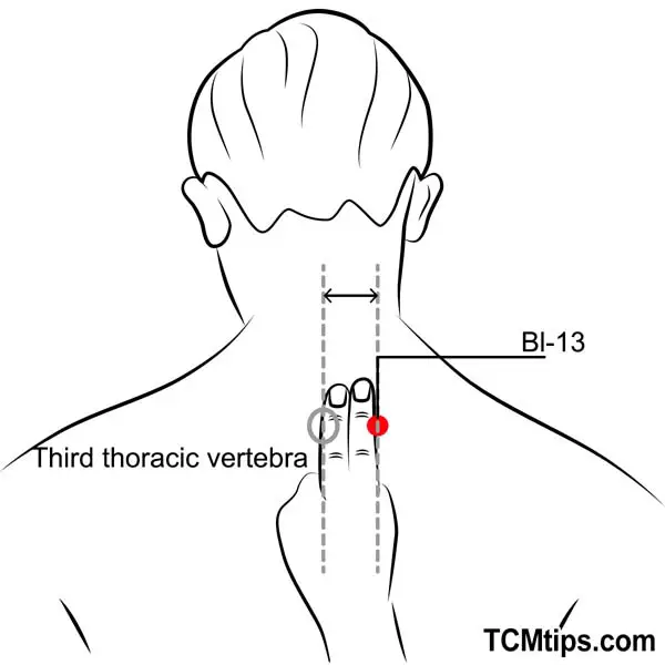 Acupoint: Bl-13 (Other Names: Urinary Bladder-13/Fei Shu/Lung Transporter)