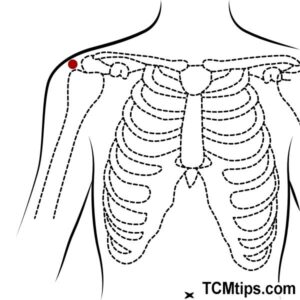 6 Acupressure Points For Shoulder And Arm Nerve Pain - Easy TCM Wisdom ...