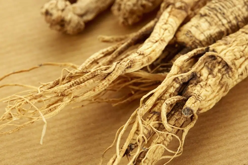 Chinese Herbs for Anxiety