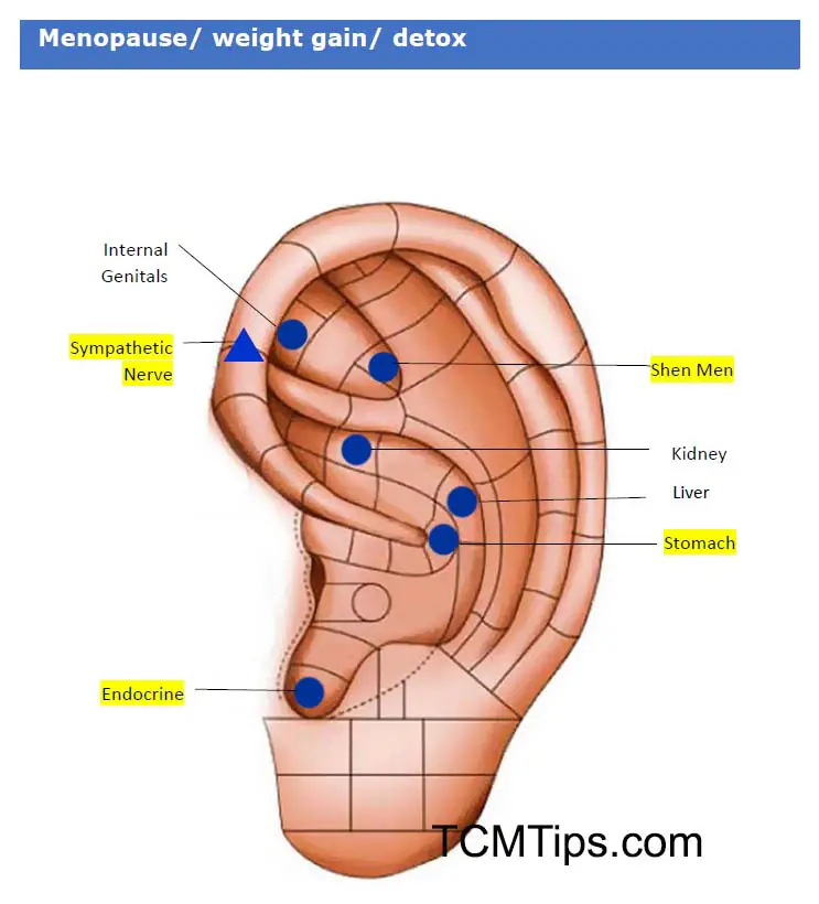 Ear Seed Placement Chart For Menopause Weight Loss