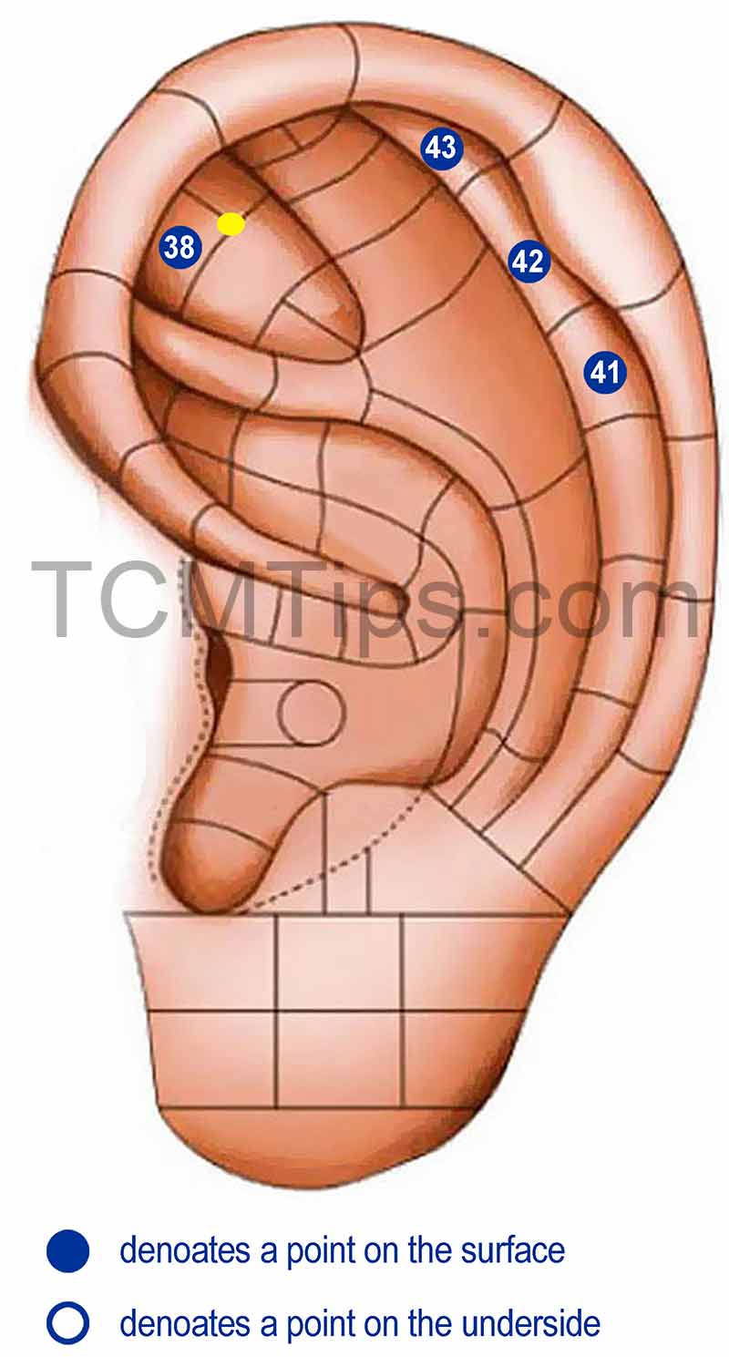 ear seeds for eczema